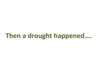 Then a drought happened…. 
 