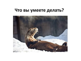 Что вы умеете делать? 