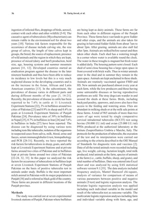 36                                                 M. Tariq Javed, et al.




ingestion of infected flies, droppings of birds, aerosol,       are being kept as dairy animals. These farms are far
contact with each other and other wildlife [5-9]. The           from each other in different regions of the Punjab
causative agent of tuberculosis (Mycobacterium) can             Province. These farms have vast lands to grow fodder
remain viable in the environment/soil for about two             and other crops, and the animals are also taken for
years [10]. Various risk factors responsible for the            grazing in harvested fodder fields from about 7am to
occurrence of disease include calving site, the size            about 3pm. After grazing, animals are also stall fed
group of calves, the length of time calves kept in              after 3pm. Animals are milked before sunset and then
groups, the breed, the source of replacement, presence          taken other sheds. Each shed has a watering trough
of wild animals and the region in which they are kept,          in a corner where water is available round the clock.
presence of mixed (dairy and beef) production, herd             The water in these troughs is stagnant but fresh water
size, age, housing systems and summer mountain                  is added daily. The housing pattern semi closed. Each
pasture [11, 12]. Developed countries started an                shed of semi close housing has a large open space in
eradication program against the disease in the later            front covered with brick walls. Thus in winter animals
nineteen hundreds and thus have been able to reduce             enter in the shed and in summer they remain in the
its incidence to low levels but this is a very much             open space. Animals are kept unchained in these sheds.
neglected disease in the developing countries and is            Animals are routinely vaccinated against FMD and
on the increase in the Asian, African and Latin                 HS. New animals are purchased almost every year at
American countries [13]. In the subcontinent, the               each farm, while the low producers and those having
prevalence of disease varies in different parts and             some untreatable diseases or having reproductive
during different months of the year [3, 14-21].                 problems are sold. The stray dogs/cats wander in and
Recently, the prevalence of disease in cattle has been          around the sheds at these farms. Birds, including
reported to be 7.6% in cattle at 11 Livestock                   backyard poultry, sparrows, and crows also have free
Experiment Stations [22], 3% in buffaloes around two            access to the feeding and watering areas. Flies are
cities of Pakistan [23] and 0.9% in sheep and 0.4% in           abundant in milking sheds or at the milk sale points at
goats at Livestock Experiment Stations of Punjab                these farms. A total of 965 animals of more than two
Pakistan [24]. Prevalence rates of 39% in buffaloes             years of age were tested by single comparative
in Nepal [25], 0.7% in buffaloes in Iran [26] and 7.6%          cervical intradermal tuberculin (SCCIT) test using
in buffaloes in India [27] have been reported. The              bovine (50.000 I.U./ml) and avian (25.000 I.U./ml)
disease can be diagnosed by using various tests                 PPDs produced at the authorized laboratory at the
including tests like tuberculin, isolation of the organisms     Istituto Zooprofilattico Umbria e Marche, Italy. The
in suspected cases from saliva, milk, blood, urine and          protocols for the production of tuberculin, the execution
faeces, serum immunoglobulin G test, histopathology             of the test and its interpretation were carried out
and PCR [28-31]. Recently, we have reported the                 according to the criteria described in the OIE Manual
risk factors for tuberculosis in sheep, goats, and cattle       of Standards for diagnostic tests and vaccines [2].
kept at Livestock Experiment Stations and at private            Data of all the tested animals were recorded including
farms around two cities of Pakistan and in buffaloes            age, live weight, calving, lactation length, total milk
kept at private farms around two cities of Pakistan             produced, total animals at the farm, species of animals
[22-24, 32, 33]. In this paper we analyzed the risk             at the farm (i.e., cattle, buffalo, sheep, and goats), and
factors for occurrence of tuberculosis in buffaloes kept        total number of buffaloes. Data was entered into Excel
at seven Livestock Experiment Stations of Punjab                sheet and was analyzed by using SAS statistical
Pakistan on the basis of positive tuberculin test in            software version 9.1 [35]. The data analysis included
animals under study. Buffalo is the most important              frequency analysis, Mantel Haenszel chi-square,
milch animal in Pakistan with its major population in           analysis of variance for comparison of means of
Punjab [34] and is referred as black gold of the country.       various parameters between positive and negative
These farms are present in different locations of the           animals (T-test) and logistic regression analysis. The
Punjab province.                                                bivariate logistic regression analysis was applied
                                                                including each individual variable in the model and
Methods                                                         result of the tuberculin test as outcome variable. The
    The study was carried out at seven experimental             multivariate logistic regression analyses including farm
livestock stations of Punjab, Pakistan where buffaloes          and individual variable along with farm, age, and
 