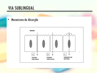 VIA SUBLINGUAL

• Mecanismo de Absorção

                MUCOSA




                   A              B               C
                  PASSAGEM       PASSAGEM        TRANSPORTE POR
                  PARA-CELULAR   TRANS-CELULAR   RECEPTORES
 