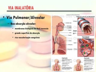 VIA INALATÓRIA
• Via Pulmonar/Alveolar
  – Boa absorção alveolar:
      • membranas biológicas de fácil travessia
      • grande superfície de absorção
      • rica vascularização sanguínea
 