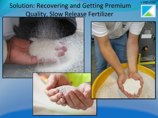 Solution: Recovering and Getting Premium
Quality, Slow Release Fertilizer
 