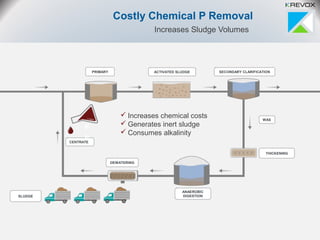 Costly Chemical P Removal
Increases Sludge Volumes
SLUDGE
ANAEROBIC
DIGESTION
CENTRATE
THICKENING
PRIMARY ACTIVATED SLUDGE SECONDARY CLARIFICATION
WAS
DEWATERING
F
e
 Increases chemical costs
 Generates inert sludge
 Consumes alkalinity
 