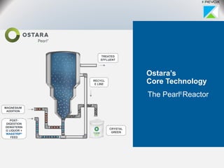 Ostara’s
Core Technology
The Pearl®
Reactor
TREATED
EFFLUENT
RECYCL
E LINE
MAGNESIUM
ADDITION
POST-
DIGESTION
DEWATERIN
G LIQUOR +
WASSTRIP®
FEED
CRYSTAL
GREEN
 