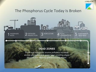 The Phosphorus Cycle Today Is Broken
 