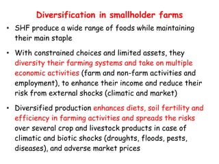 Diversification in smallholder farms
• SHF produce a wide range of foods while maintaining
their main staple
• With constrained choices and limited assets, they
diversity their farming systems and take on multiple
economic activities (farm and non-farm activities and
employment), to enhance their income and reduce their
risk from external shocks (climatic and market)
• Diversified production enhances diets, soil fertility and
efficiency in farming activities and spreads the risks
over several crop and livestock products in case of
climatic and biotic shocks (droughts, floods, pests,
diseases), and adverse market prices
 