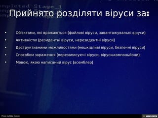 Прийнято розділяти віруси за:  • Об'єктами, які вражаються (файлові віруси, завантажувальні віруси) • Активністю (резидентні віруси, нерезидентні віруси) • Деструктивними можливостями (нешкідливі віруси, безпечні віруси) • Способом зараження (перезаписуючі віруси, віруси-компаньйони) • Мовою, якою написаний вірус (асемблер)