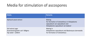 Media for stimulation of ascospores
Media Remarks
Alphacel-yeast extract Mating
For formation of cleistotheca in Histoplasma
capsulatum var capsulatum and
Histoplasma capsulatum var dubosii
Soil extract agar
Autoclaved garden soil- 500gms
Tap water -1200ml
Mating in
Histoplasma capsulatum and Bastomyces dermatidis
For formation of cleistotheca
 