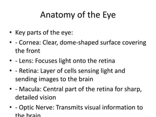 Anatomy of the Eye
• Key parts of the eye:
• - Cornea: Clear, dome-shaped surface covering
the front
• - Lens: Focuses light onto the retina
• - Retina: Layer of cells sensing light and
sending images to the brain
• - Macula: Central part of the retina for sharp,
detailed vision
• - Optic Nerve: Transmits visual information to
 