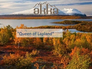 “Queen of Lapland”




                     5
 