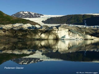 Pedersen Glacier 