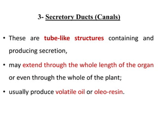 3- Secretory Ducts (Canals)
• These are tube-like structures containing and
producing secretion,
• may extend through the whole length of the organ
or even through the whole of the plant;
• usually produce volatile oil or oleo-resin.
 