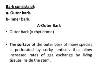 Bark consists of:
a- Outer bark.
b- Inner bark.
A-Outer Bark
• Outer bark (= rhytidome)
• The surface of the outer bark of many species
is perforated by corky lenticels that allow
increased rates of gas exchange by living
tissues inside the stem.
 