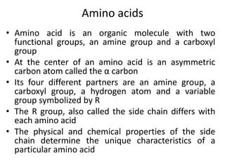 Amino acids
• Amino acid is an organic molecule with two
functional groups, an amine group and a carboxyl
group
• At the center of an amino acid is an asymmetric
carbon atom called the α carbon
• Its four different partners are an amine group, a
carboxyl group, a hydrogen atom and a variable
group symbolized by R
• The R group, also called the side chain differs with
each amino acid
• The physical and chemical properties of the side
chain determine the unique characteristics of a
particular amino acid
 