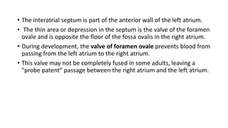 • The interatrial septum is part of the anterior wall of the left atrium.
• The thin area or depression in the septum is the valve of the foramen
ovale and is opposite the floor of the fossa ovalis in the right atrium.
• During development, the valve of foramen ovale prevents blood from
passing from the left atrium to the right atrium.
• This valve may not be completely fused in some adults, leaving a
"probe patent“ passage between the right atrium and the left atrium.
 