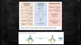 Caso clínico / Fisiopatología Angioedema Hereditario