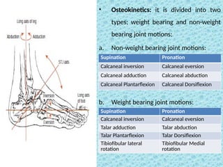 • Osteokinetics: it is divided into two
types; weight bearing and non-weight
bearing joint motions:
a. Non-weight bearing joint motions:
b. Weight bearing joint motions:
Supination Pronation
Calcaneal inversion Calcaneal eversion
Calcaneal adduction Calcaneal abduction
Calcaneal Plantarflexion Calcaneal Dorsiflexion
Supination Pronation
Calcaneal inversion Calcaneal eversion
Talar adduction Talar abduction
Talar Plantarflexion Talar Dorsiflexion
Tibiofibular lateral
rotation
Tibiofibular Medial
rotation
 