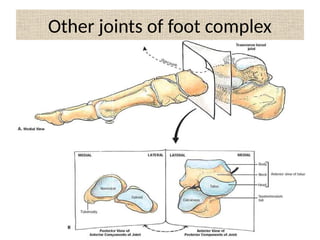 Other joints of foot complex
 