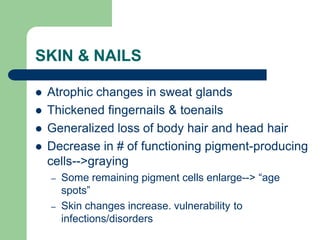 SKIN & NAILS
 Atrophic changes in sweat glands
 Thickened fingernails & toenails
 Generalized loss of body hair and head hair
 Decrease in # of functioning pigment-producing
cells-->graying
– Some remaining pigment cells enlarge--> “age
spots”
– Skin changes increase. vulnerability to
infections/disorders
 