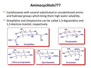 antibiotics.ppt