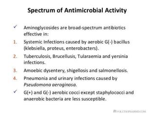 antibiotics.ppt