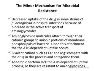 antibiotics.ppt