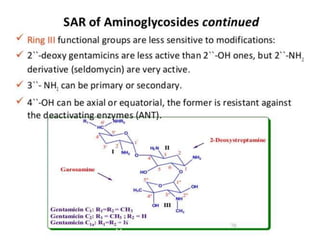 antibiotics.ppt