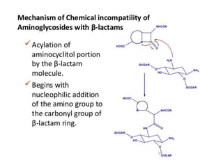 antibiotics.ppt