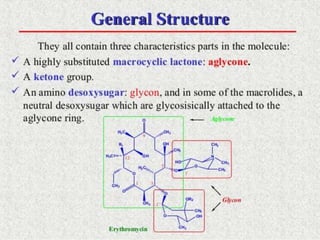 antibiotics.ppt