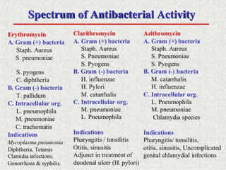 antibiotics.ppt