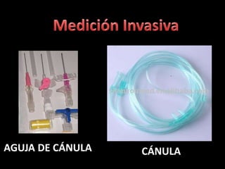 AGUJA DE CÁNULA CÁNULA 
 