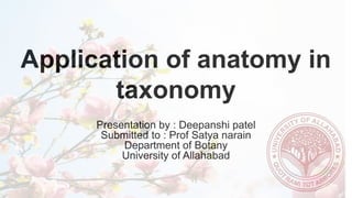 Application of anatomy in
taxonomy
Presentation by : Deepanshi patel
Submitted to : Prof Satya narain
Department of Botany
University of Allahabad
 