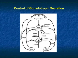 Control of Gonadotropin Secretion
 