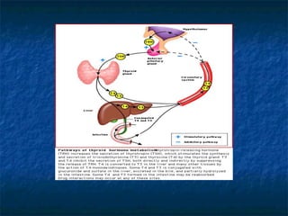 Approach to pitiutary diseases