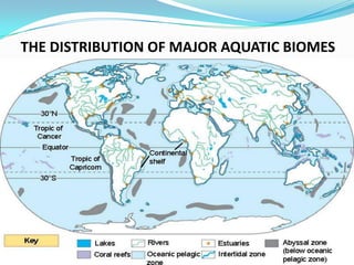 THE MARINE BIOMESMarine biomes include three categories: 	1) Oceans 2) Coral reefs3) Estuaries 