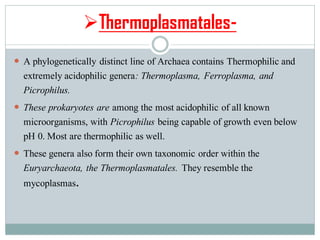 ➢Thermoplasmatales-
 A phylogenetically distinct line of Archaea contains Thermophilic and
extremely acidophilic genera: Thermoplasma, Ferroplasma, and
Picrophilus.
 These prokaryotes are among the most acidophilic of all known
microorganisms, with Picrophilus being capable of growth even below
pH 0. Most are thermophilic as well.
 These genera also form their own taxonomic order within the
Euryarchaeota, the Thermoplasmatales. They resemble the
mycoplasmas.
 