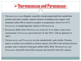 ➢Thermococcus and Pyrococcus-
 Thermococcus is an obligately anaerobic chemoorganotroph that metabolizes
proteins and other complex organic mixtures (including some sugars) with
elemental sulfur (S0) as electron acceptor at temperatures from 55 to 95°C.
Pyrococcus is morphologically similar to Thermococcus
 Pyrococcus differs from Thermococcus primarily by its higher temperature
requirements; Pyrococcus grows between 70 and 106°C with an optimum of
100°C.
 Thermococcus and Pyrococcus are also metabolically quite similar. Proteins,
starch, or maltose are oxidized as electron donors,and (S0) is the terminal electron
acceptor and is reduced to hydrogen sulfide (H2S).Both Thermococcus and
Pyrococcus form H2S when (S0) is present, but form H2 when S0 is absent.
 