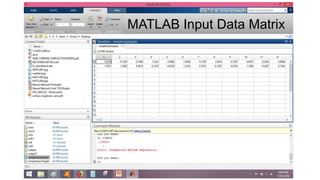 MATLAB Input Data Matrix
 