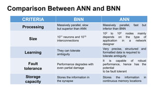 Comparison Between ANN and BNN
CRITERIA BNN ANN
Processing
Massively parallel, slow
but superior than ANN
Massively parallel, fast but
inferior than BNN
Size
1011 neurons and 1015
interconnections
102 to 104 nodes mainly
depends on the type of
application in a network
designer
Learning
They can tolerate
ambiguity
Very precise, structured and
formatted data is required to
tolerate ambiguity
Fault
tolerance
Performance degrades with
even partial damage
It is capable of robust
performance, hence has the
potential
to be fault tolerant
Storage
capacity
Stores the information in
the synapse
Stores the information in
continuous memory locations
 