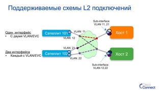 Хост 2
Хост 1Сателлит 101Один интерфейс
•  С двумя VLAN/EVC
Два интерфейса
•  Каждый с VLAN/EVC
Sub-interface:
VLAN 11, 21
Сателлит 102
VLAN: 11
VLAN: 12
VLAN: 21
VLAN: 22
Sub-interface:
VLAN 12,22
Поддерживаемые схемы L2 подключений
 