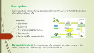 Green synthesis
In green synthesis we use natural product such as leaves of tree/crops or fruits for the synthesis
of metal or metal oxide NPs
impotance:
 Eco-friendly
 Sustainable
 Free of chemical contamination
 Less expensive
 Can be used for mass production
Nanoparticle Synthesis: Green-synthesized NPs, particularly using plant extracts, in drug
delivery, imaging, and cancer therapy, other kind of medicine etc.
 