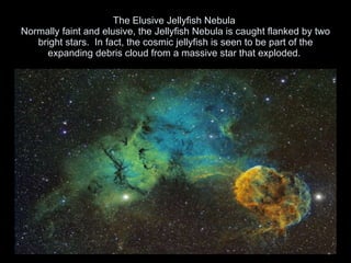 The Elusive Jellyfish Nebula  Normally faint and elusive, the Jellyfish Nebula is caught flanked by two bright stars.  In fact, the cosmic jellyfish is seen to be part of the expanding debris cloud from a massive star that exploded.  