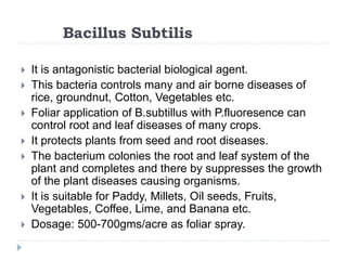 Bacillus Subtilis
 It is antagonistic bacterial biological agent.
 This bacteria controls many and air borne diseases of
rice, groundnut, Cotton, Vegetables etc.
 Foliar application of B.subtillus with P.fluoresence can
control root and leaf diseases of many crops.
 It protects plants from seed and root diseases.
 The bacterium colonies the root and leaf system of the
plant and completes and there by suppresses the growth
of the plant diseases causing organisms.
 It is suitable for Paddy, Millets, Oil seeds, Fruits,
Vegetables, Coffee, Lime, and Banana etc.
 Dosage: 500-700gms/acre as foliar spray.
 