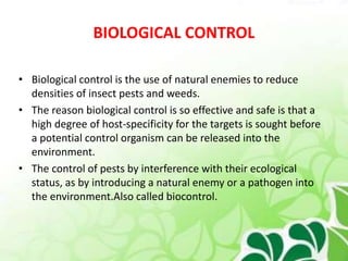 BIOLOGICAL CONTROL
• Biological control is the use of natural enemies to reduce
densities of insect pests and weeds.
• The reason biological control is so effective and safe is that a
high degree of host-specificity for the targets is sought before
a potential control organism can be released into the
environment.
• The control of pests by interference with their ecological
status, as by introducing a natural enemy or a pathogen into
the environment.Also called biocontrol.
 