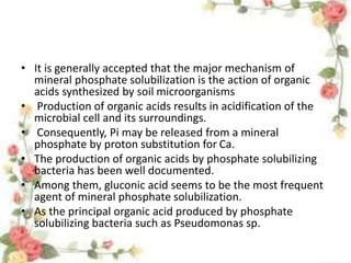 • It is generally accepted that the major mechanism of
mineral phosphate solubilization is the action of organic
acids synthesized by soil microorganisms
• Production of organic acids results in acidification of the
microbial cell and its surroundings.
• Consequently, Pi may be released from a mineral
phosphate by proton substitution for Ca.
• The production of organic acids by phosphate solubilizing
bacteria has been well documented.
• Among them, gluconic acid seems to be the most frequent
agent of mineral phosphate solubilization.
• As the principal organic acid produced by phosphate
solubilizing bacteria such as Pseudomonas sp.
 