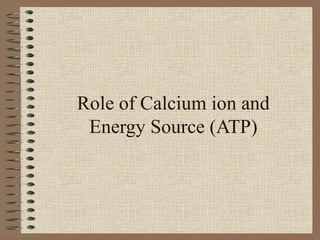 Role of Calcium ion and Energy Source (ATP) 