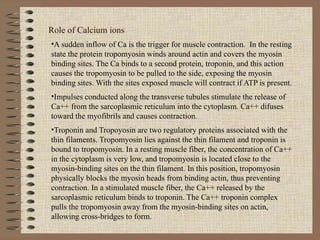 Role of Calcium ions A sudden inflow of Ca is the trigger for muscle contraction.  In the resting state the protein tropomyosin winds around actin and covers the myosin binding sites. The Ca binds to a second protein, troponin, and this action causes the tropomyosin to be pulled to the side, exposing the myosin binding sites. With the sites exposed muscle will contract if ATP is present.  Impulses conducted along the transverse tubules stimulate the release of Ca++ from the sarcoplasmic reticulum into the cytoplasm. Ca++ difuses toward the myofibrils and causes contraction. Troponin and Tropoyosin are two regulatory proteins associated with the thin filaments. Tropomyosin lies against the thin filament and troponin is bound to tropomyosin. In a resting muscle fiber, the concentration of Ca++ in the cytoplasm is very low, and tropomyosin is located close to the myosin-binding sites on the thin filament. In this position, tropomyosin physically blocks the myosin heads from binding actin, thus preventing contraction. In a stimulated muscle fiber, the Ca++ released by the sarcoplasmic reticulum binds to troponin. The Ca++ troponin complex pulls the tropomyosin away from the myosin-binding sites on actin, allowing cross-bridges to form. 