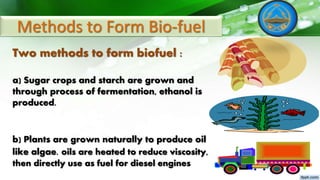 Two methods to form biofuel :
a) Sugar crops and starch are grown and
through process of fermentation, ethanol is
produced.
b) Plants are grown naturally to produce oil
like algae. oils are heated to reduce viscosity,
then directly use as fuel for diesel engines
Methods to Form Bio-fuel
 