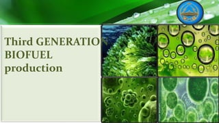 Third GENERATION
BIOFUEL
production
 