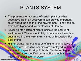 PLANTS SYSTEM
• The presence or absence of certain plant or other
vegetative life in an ecosystem can provide important
clues about the health of the environment. They can be
from both higher and lower classes of Plantae
• Lower plants :Different plants indicate the nature of
environment. The susceptibility of resistance towards a
substance in the environment varies with species. For
e.g lichens
• Higher plants :Various groups of higher plants serve as
bioindicators. Sensitive species are employed to detect
and monitor specific air pollutants. Studies on higher
plants are more specified on its ability to indicate the
heavy metal pollution in water.
 